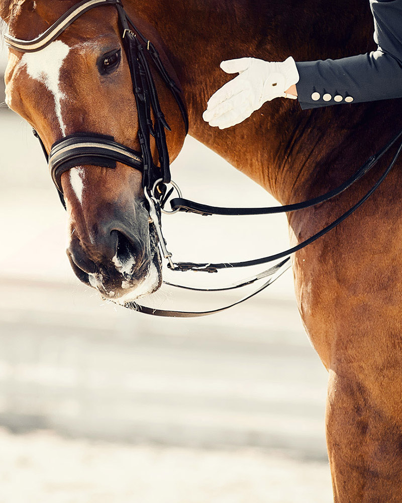 Reitsportanlage Groß Steinrade - Bild 2