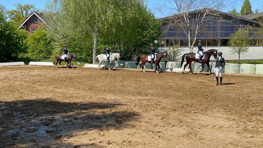 Mitglied werden beim Reitsportverein Groß Steinrade e. V.